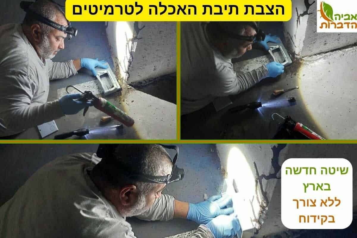 הצבת תיבת האכלה לטרמיטים
