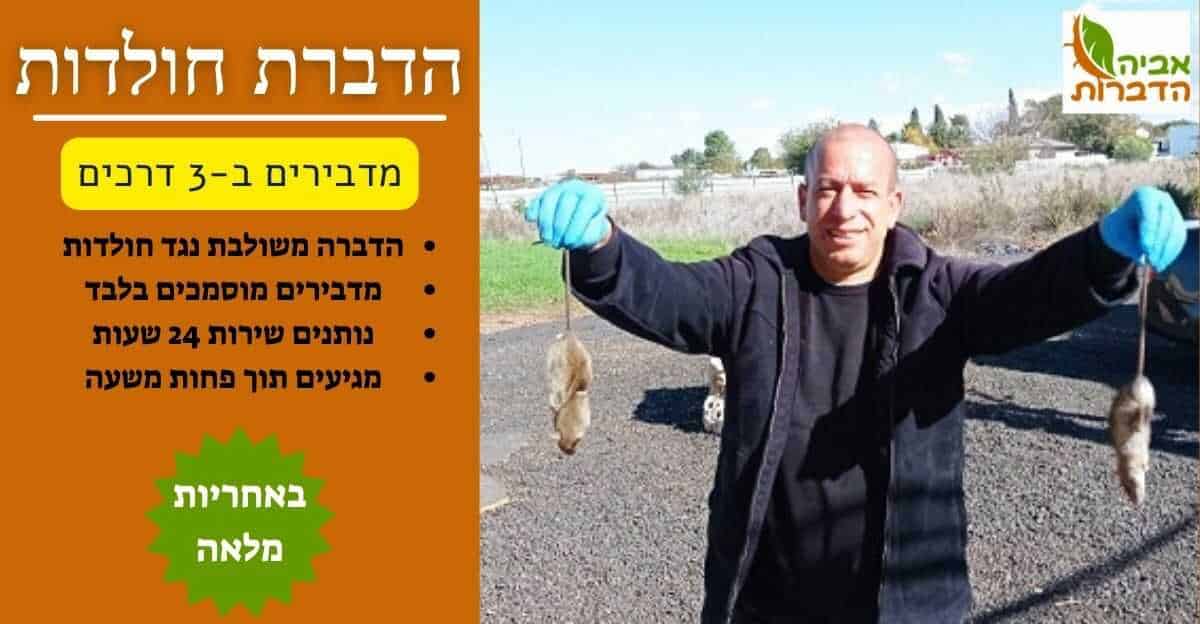 הדברת חולדות