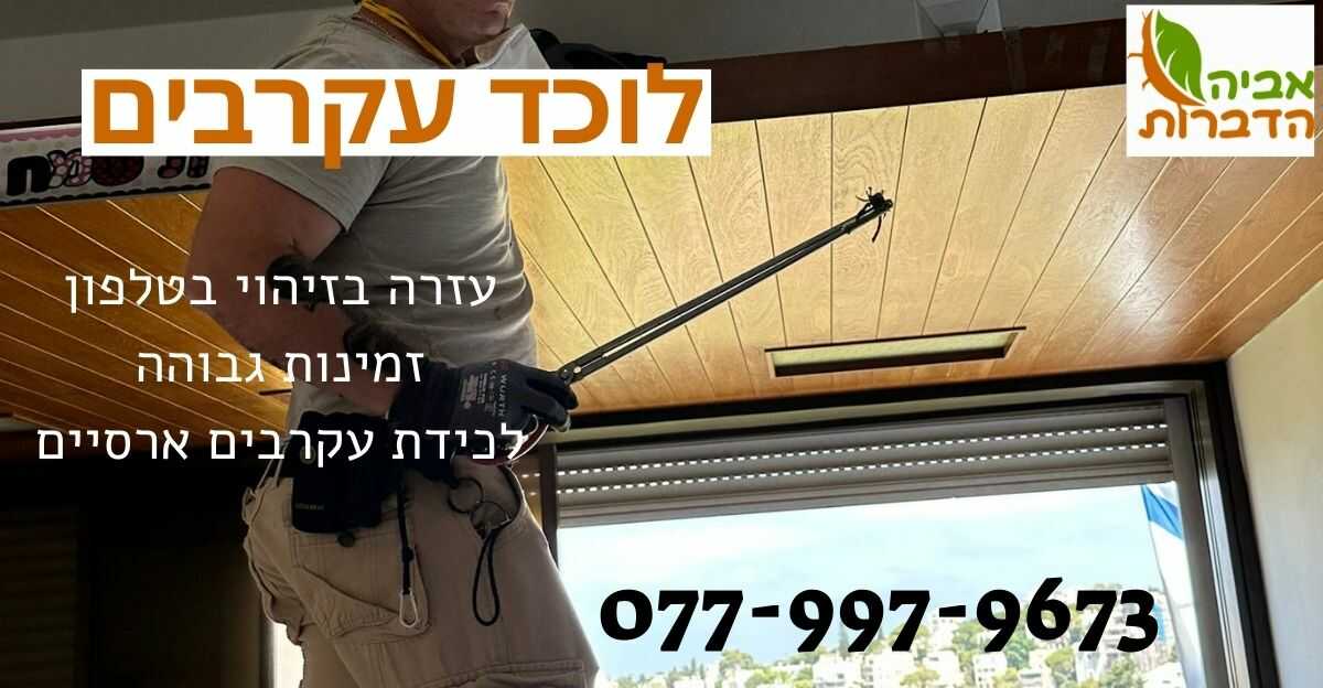 לוכד עקרבים