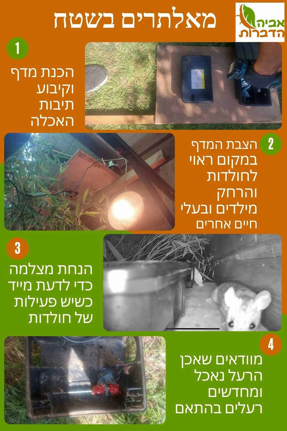 מאלתרים בשטח