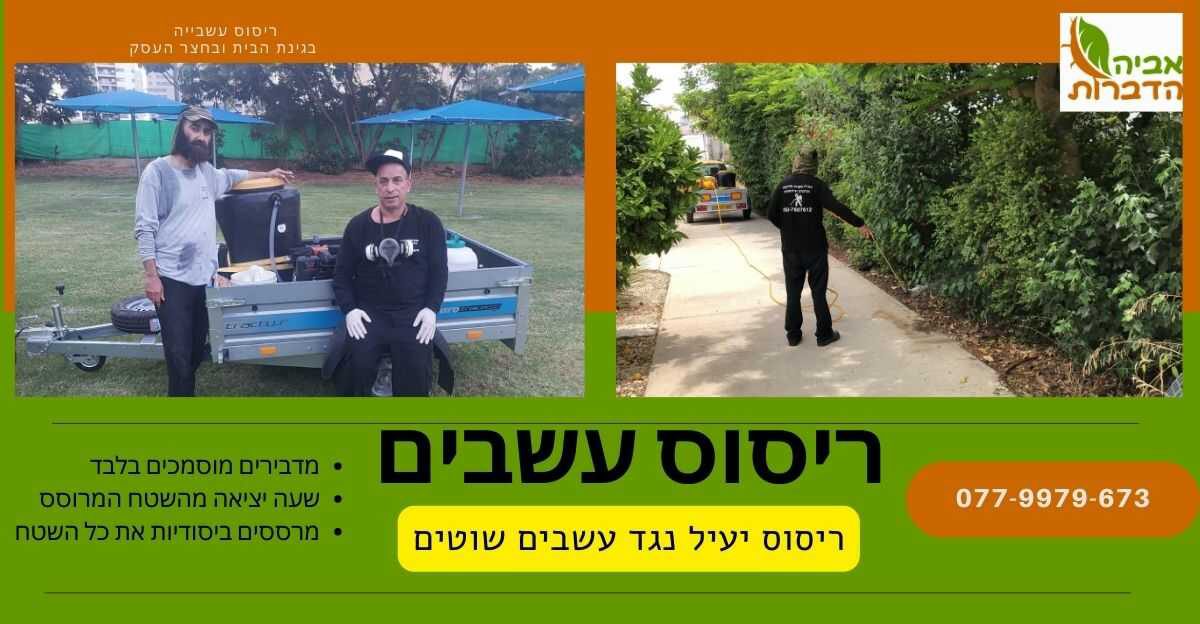 ריסוס עשבים