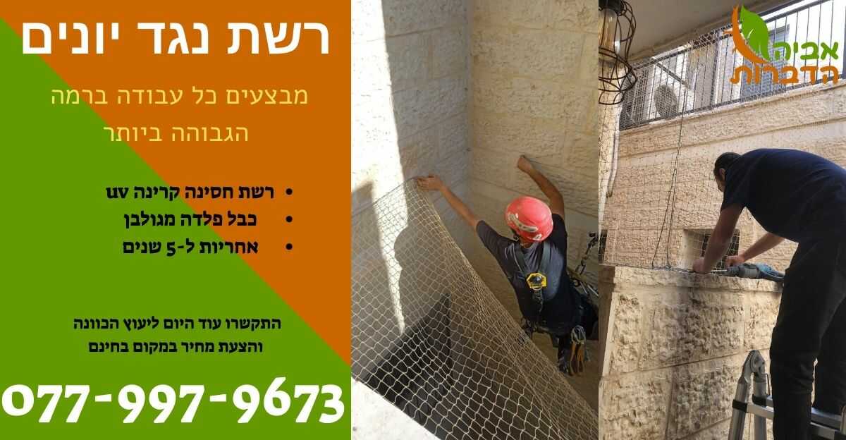 רשת נגד יונים