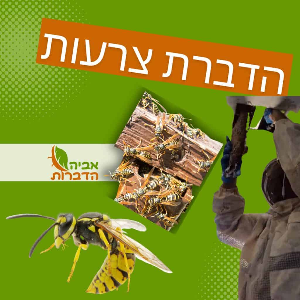 הדברת צרעות - תמונת קאבר לפוסט, חברת אביה הדברות