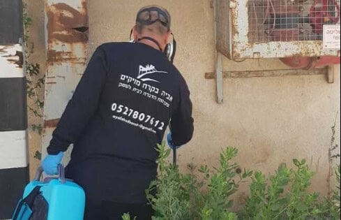 מדביר מוסמך מטעם חברת אביה בקרת מזיקים (אביה הדברות), מבצע ריסוס עשבים במפעל